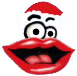 picture of Phil Lips with Santa Hat and Flag